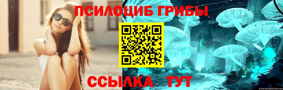 Галлюциногенные грибы Psilocybine cubensis Арзамас